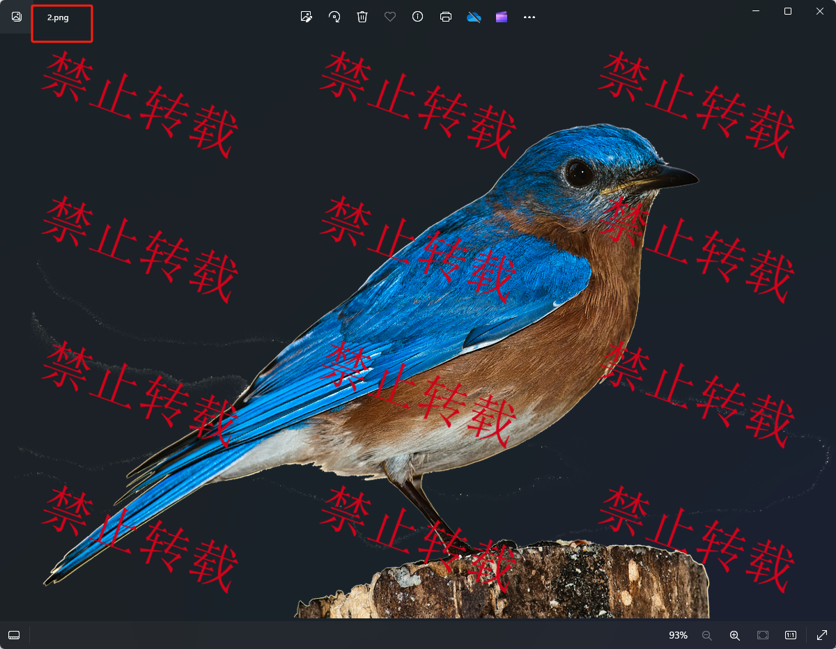 image-圖片水印添加,給圖片添加水印,圖片加水印