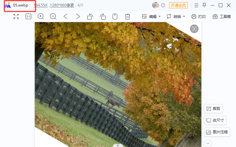 image-編輯多張圖片,批量編輯圖片,圖片編輯