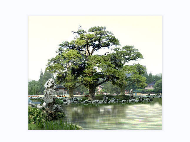 image-圖片批量裁剪,如何批量裁剪圖片,一次性裁剪多張圖片