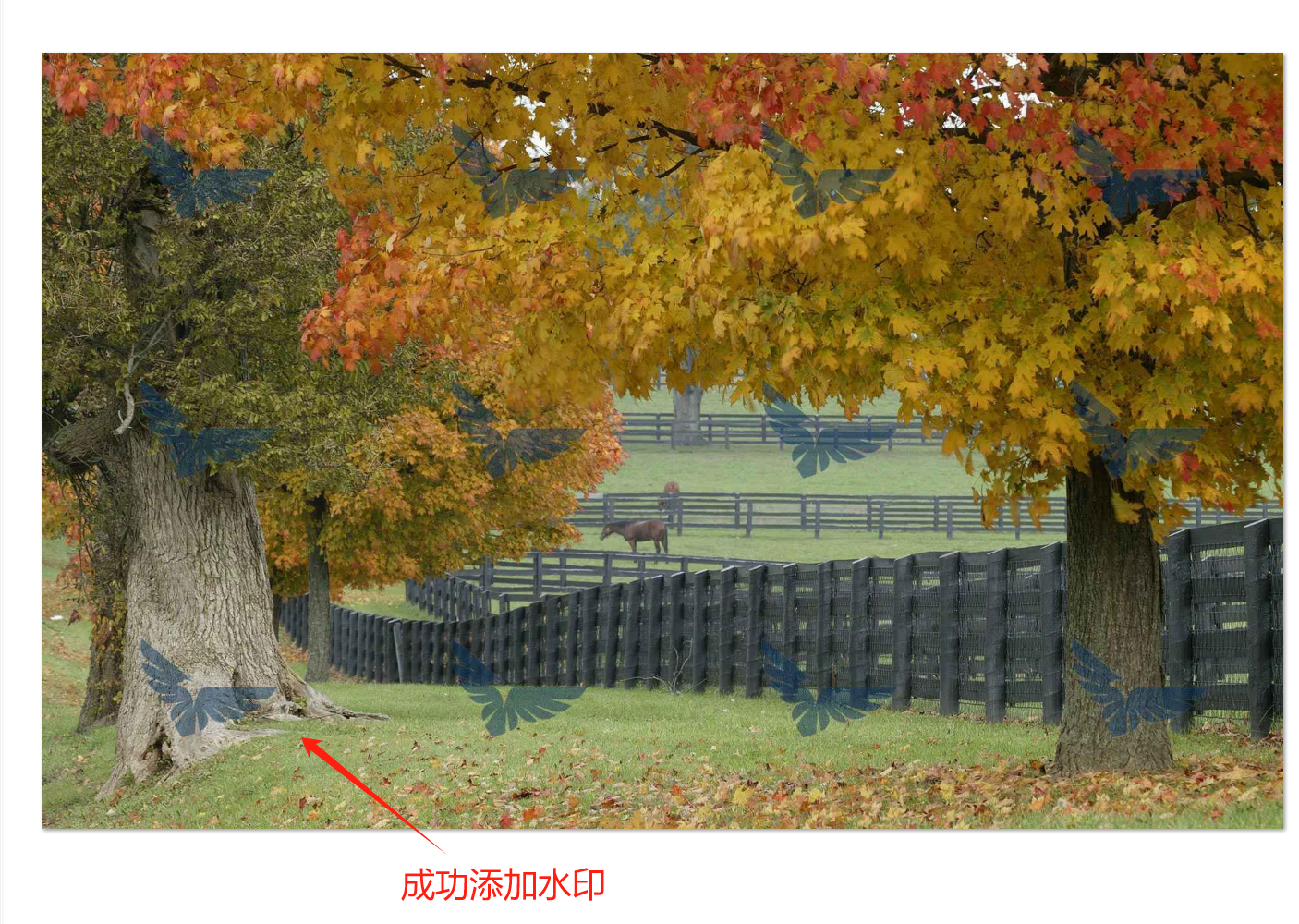 image-圖片水印添加,給圖片添加水印,圖片加水印