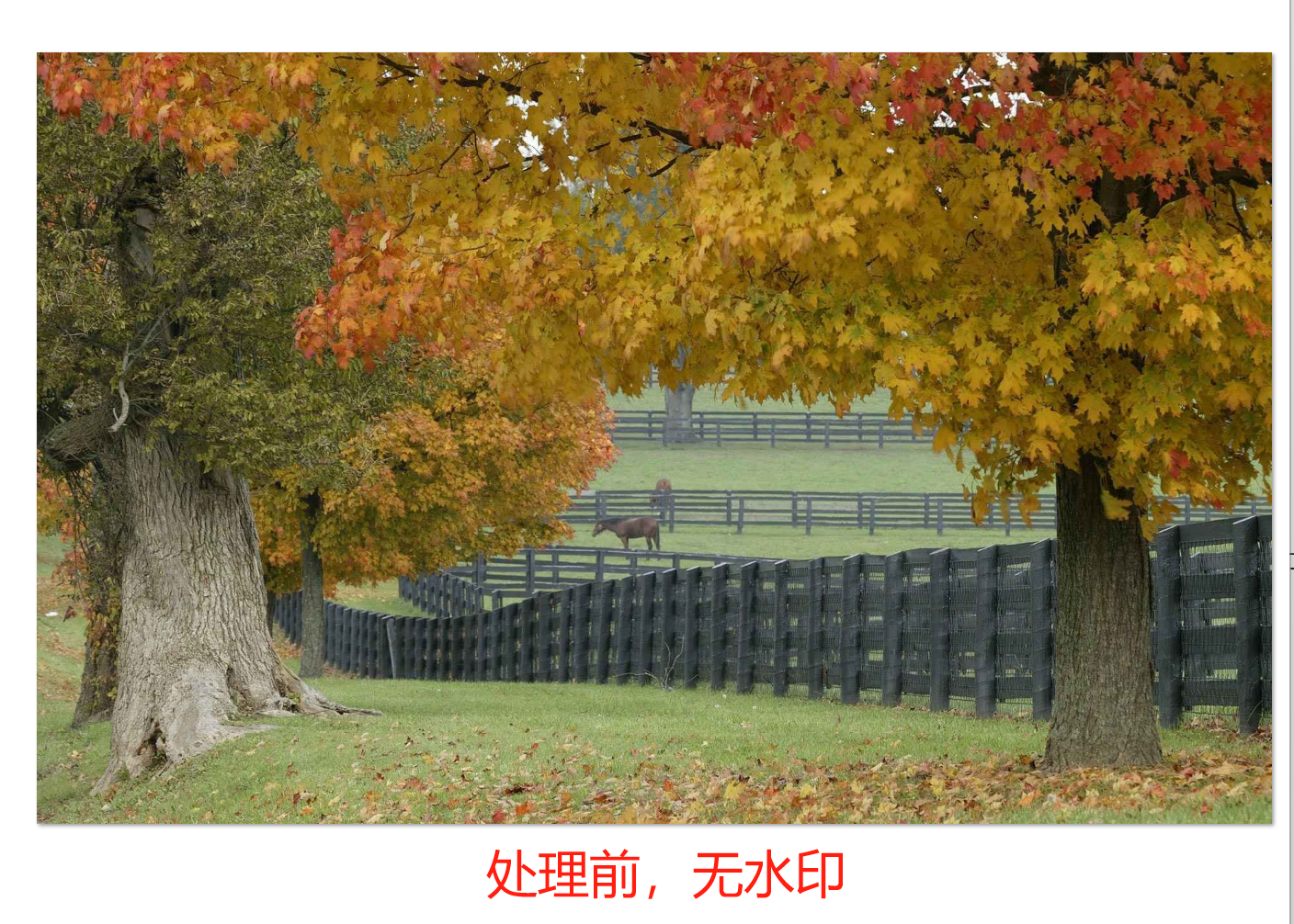 image-圖片水印添加,給圖片添加水印,圖片加水印