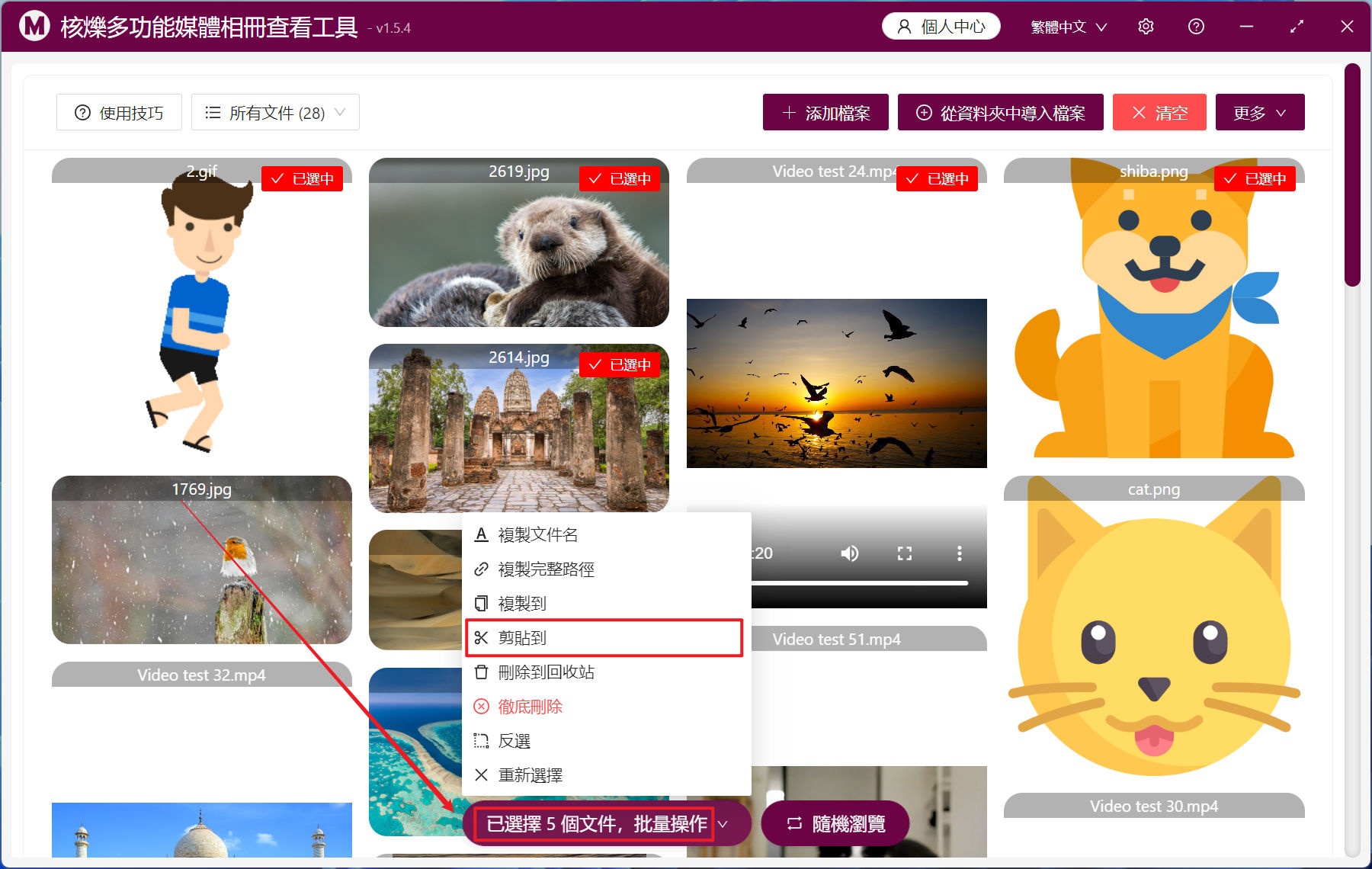 image-如何將多個文件夾里的所有圖片、視頻文件同時預覽播放並且批量選取文件移動到指定位置