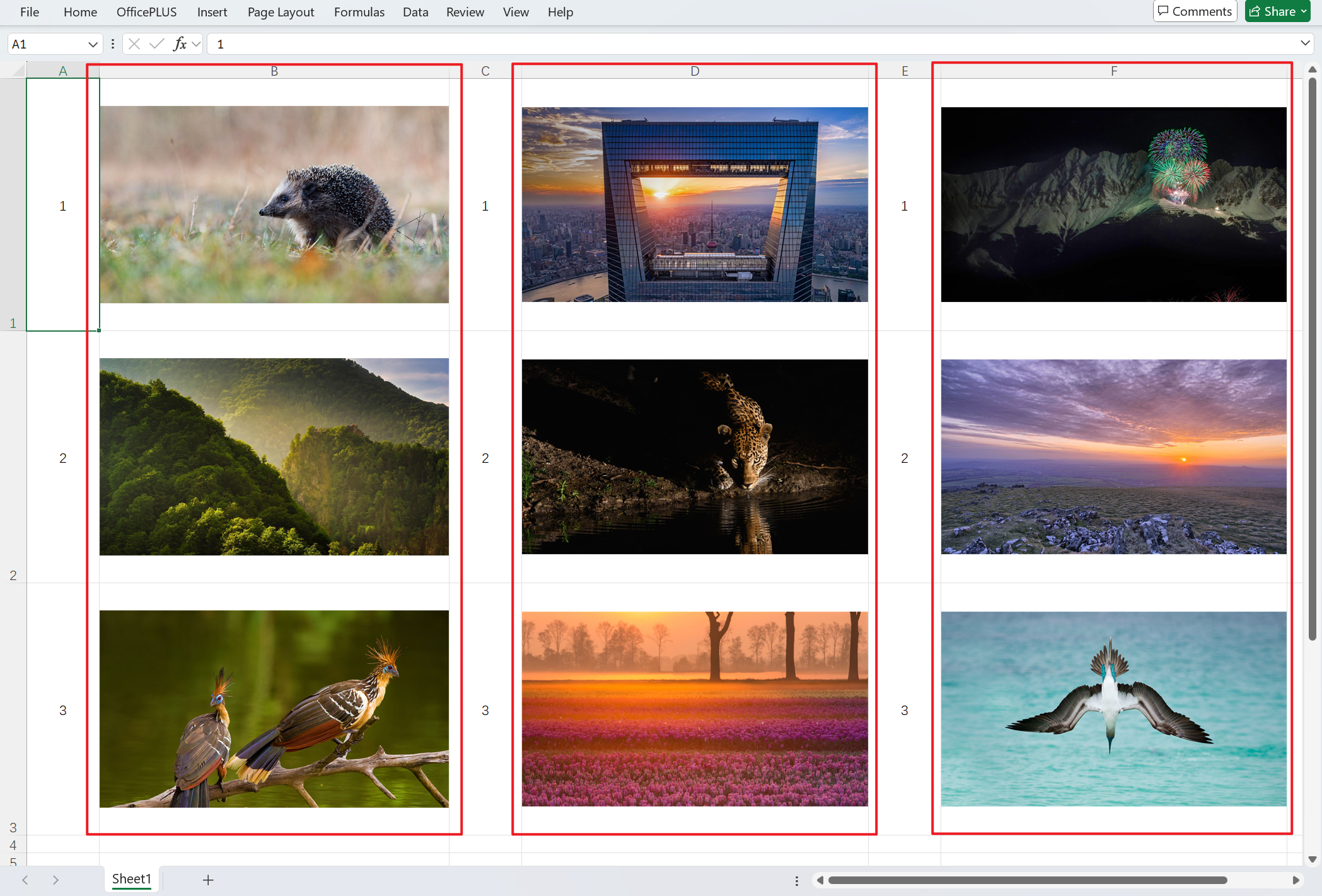image-用jpg格式批量導出上百個xls、xlsx工作表單元格中的圖片