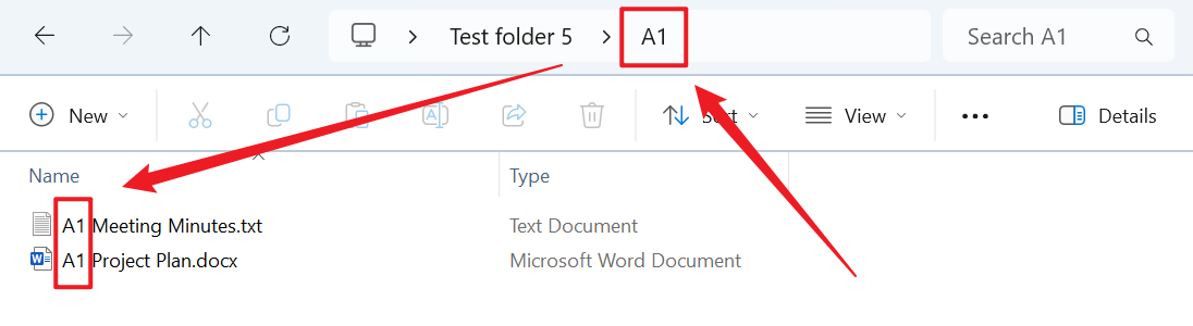 image-非常多的文件按文件名稱開頭兩個字母、數字或文字進行批量分類