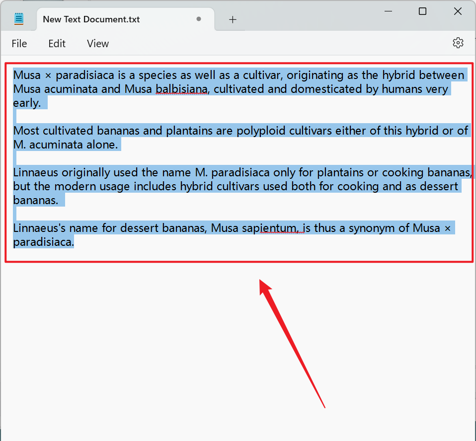 image-快速刪除剪貼板複製文本開頭和結尾的空白內容