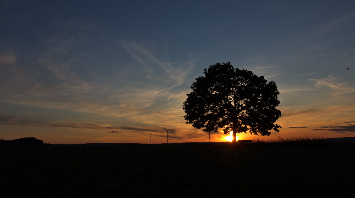 image-批量拆分與合併多個 Word 文檔,一看就會,再也不累