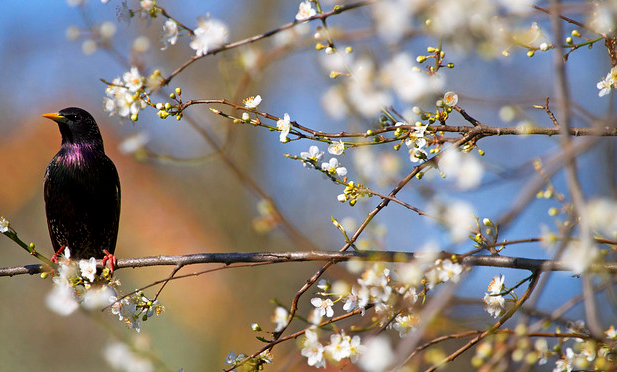 image-「我的ABC軟體工具箱」被少數殺毒軟件誤報為病毒情況說明