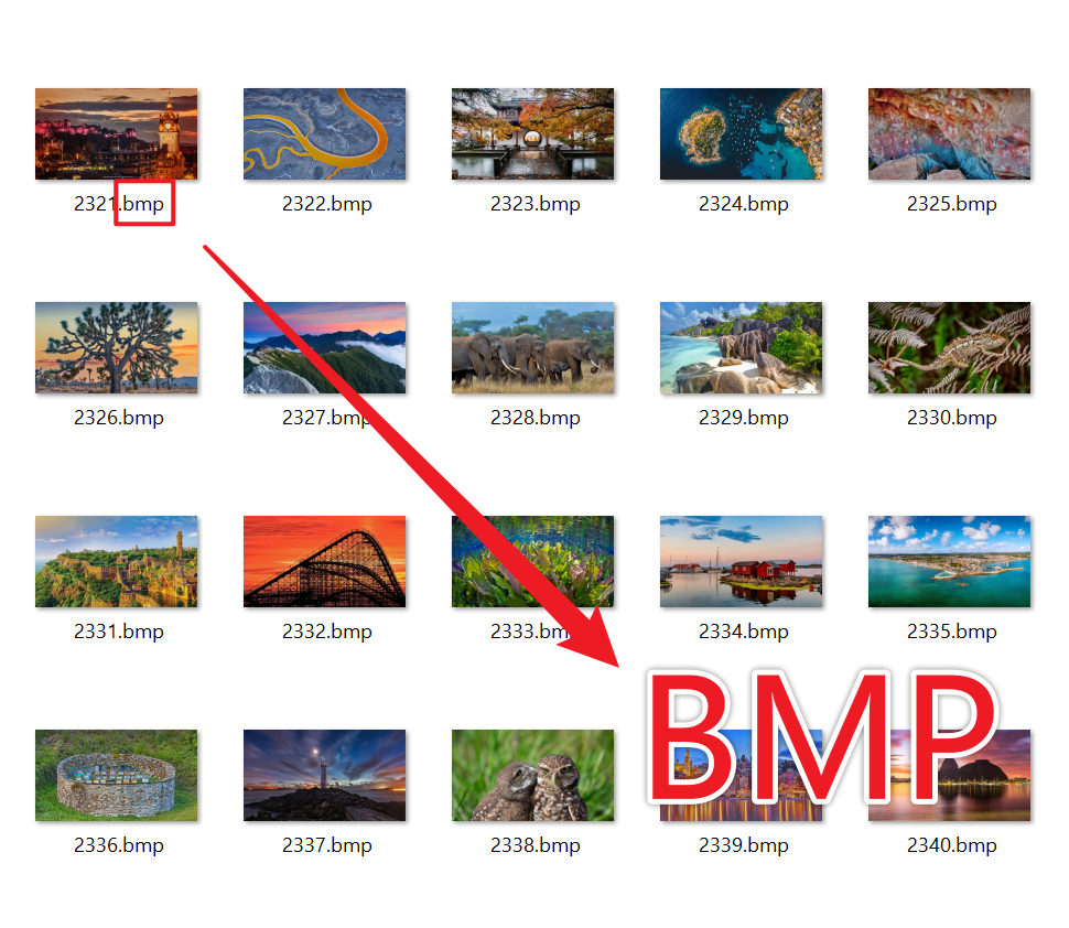 image-大量 BMP 位图批量变换为 SVG 矢量图格式