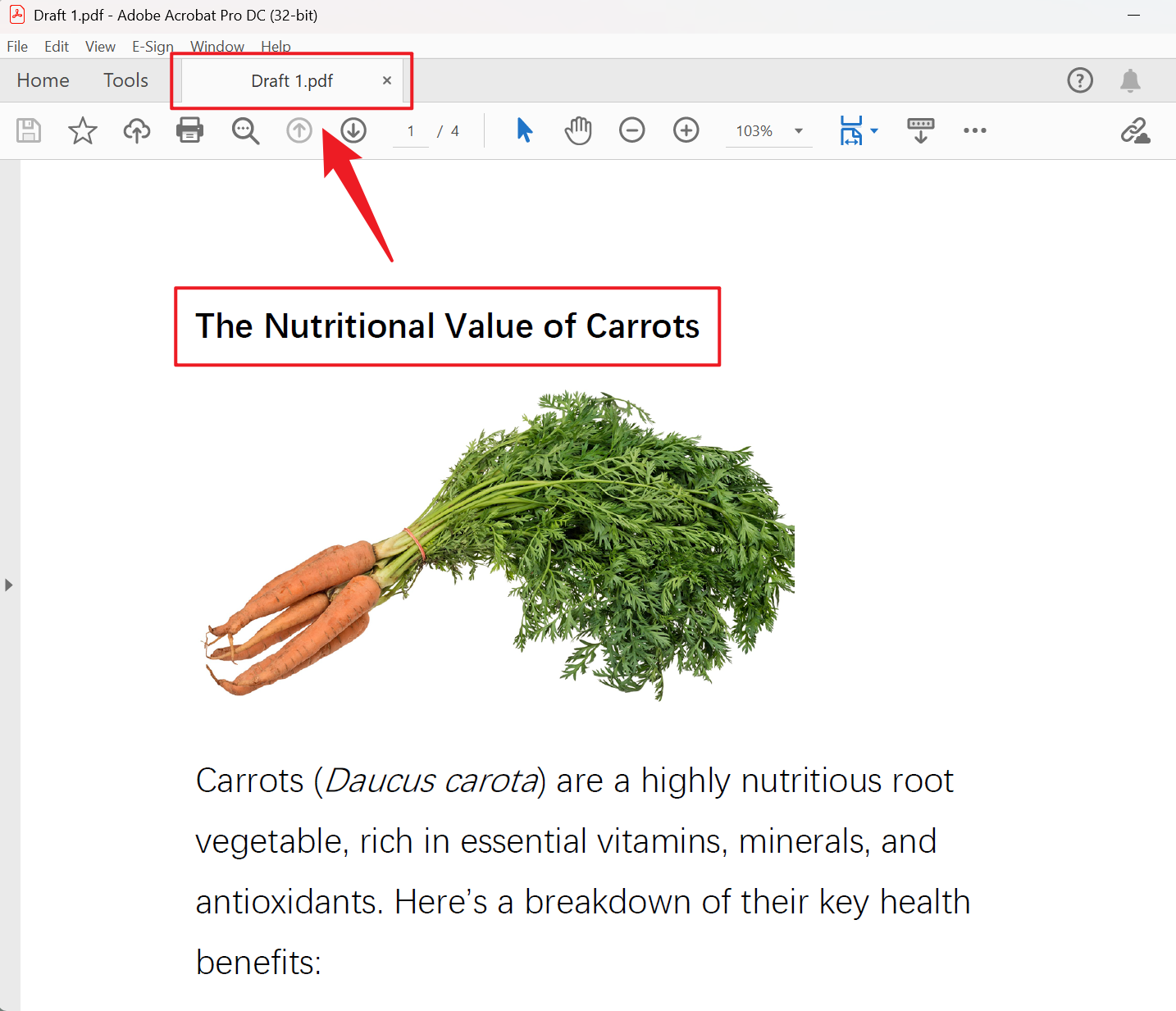 image-利用非常多 PDF 文件的第一行内容批量重命名该文件名称