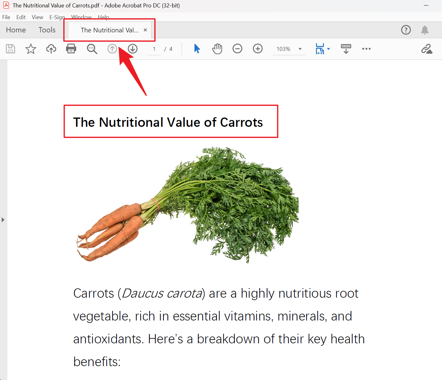 image-利用非常多 PDF 文件的第一行内容批量重命名该文件名称
