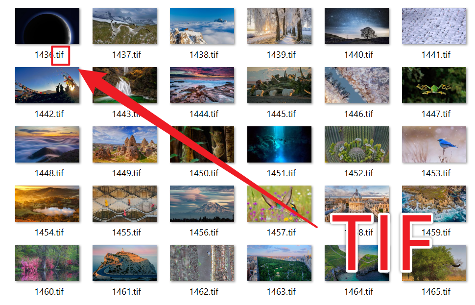image-非常多的 BMP 图片批量变成 TIF 标签图像文件格式