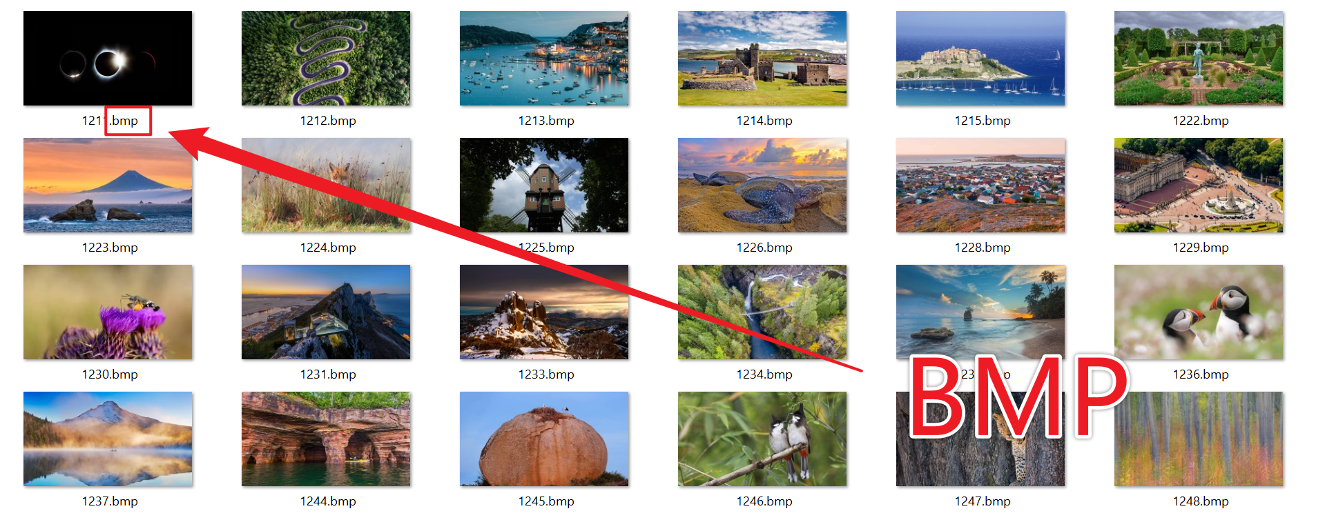 image-大量的 BMP 图片格式批量转化 TIFF 格式