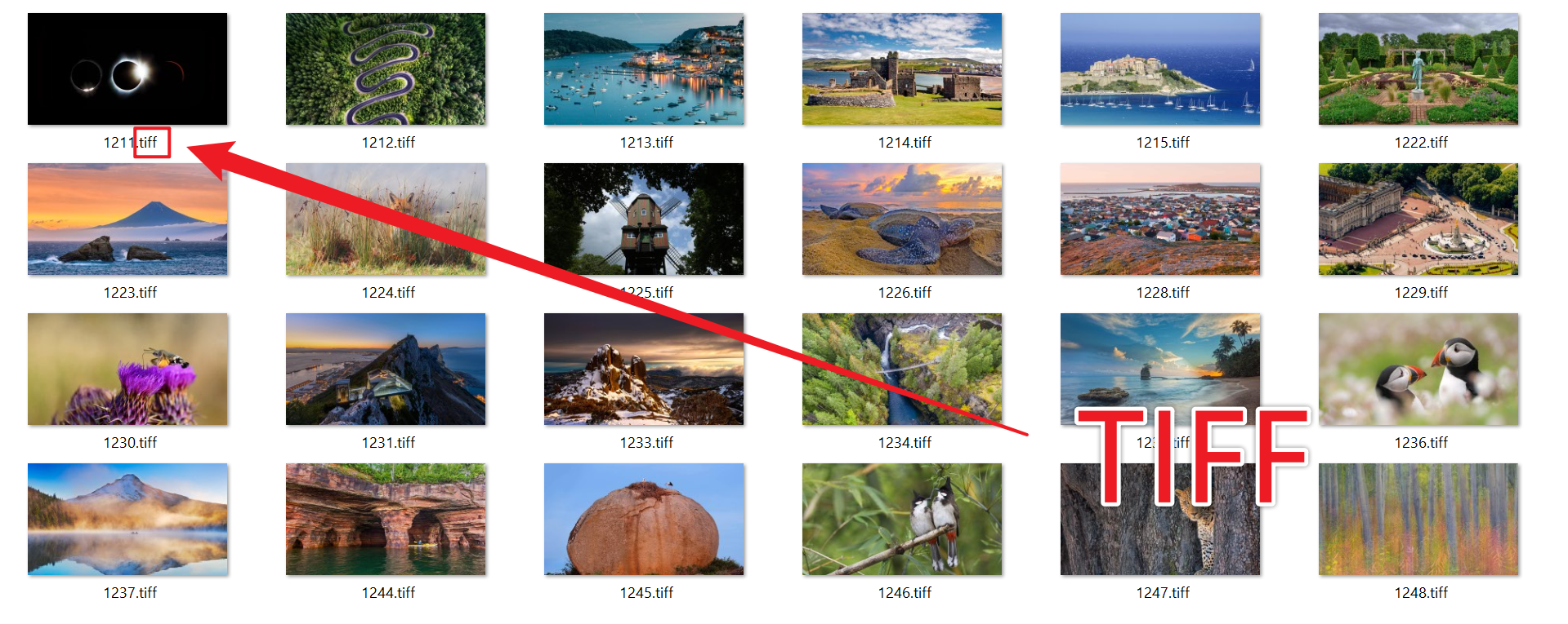image-大量的 BMP 图片格式批量转化 TIFF 格式