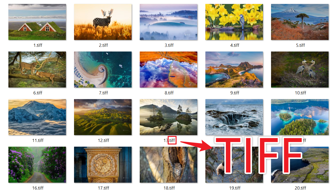 image-印刷圖片批量轉為 TIFF 格式,JPG 圖片轉 TIFF 工具,如何將 JPG,PNG 變為 TIFF 圖片