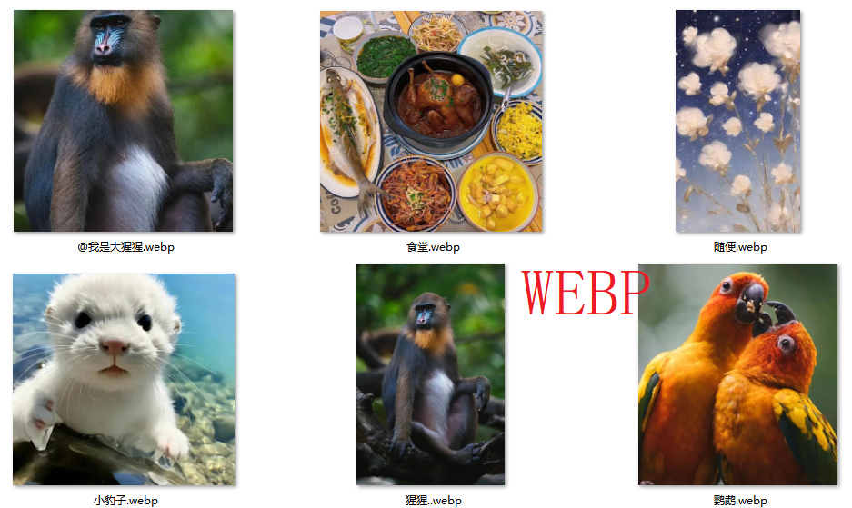 image-JPG轉換成webp的操作辦法,WEBP圖片格式的優勢,png批量變成webp