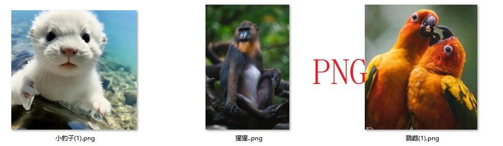 image-JPG转换bmp,bmp格式的优势,png快速批量转换bmp