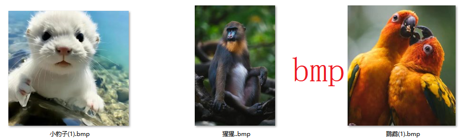 image-JPG转换bmp,bmp格式的优势,png快速批量转换bmp
