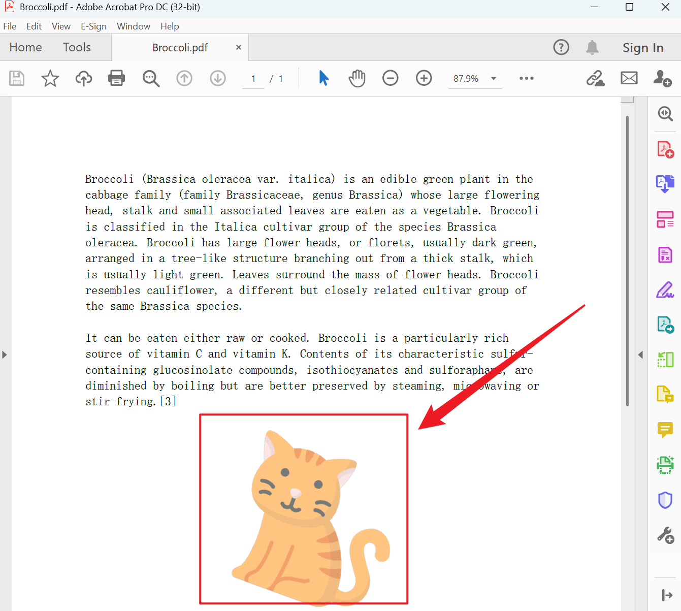 image-PDF 批量添加水印,如何給多個 PDF 加圖片水印,圖片水印 PDF