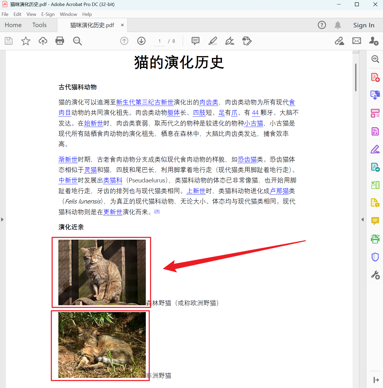 image-批量提取 PDF 图片,如何保存 PDF 中所有图片,PDF 怎么批量提取高清图片