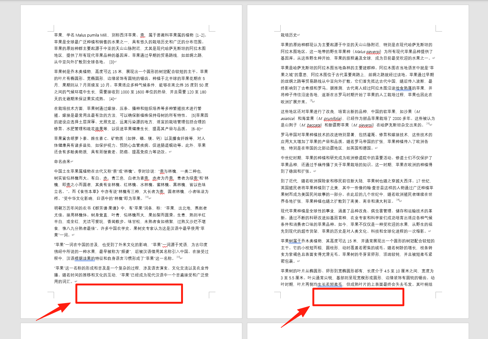 image-Word第幾頁共幾頁怎麼設置,Word添加頁碼,word頁腳設置頁碼
