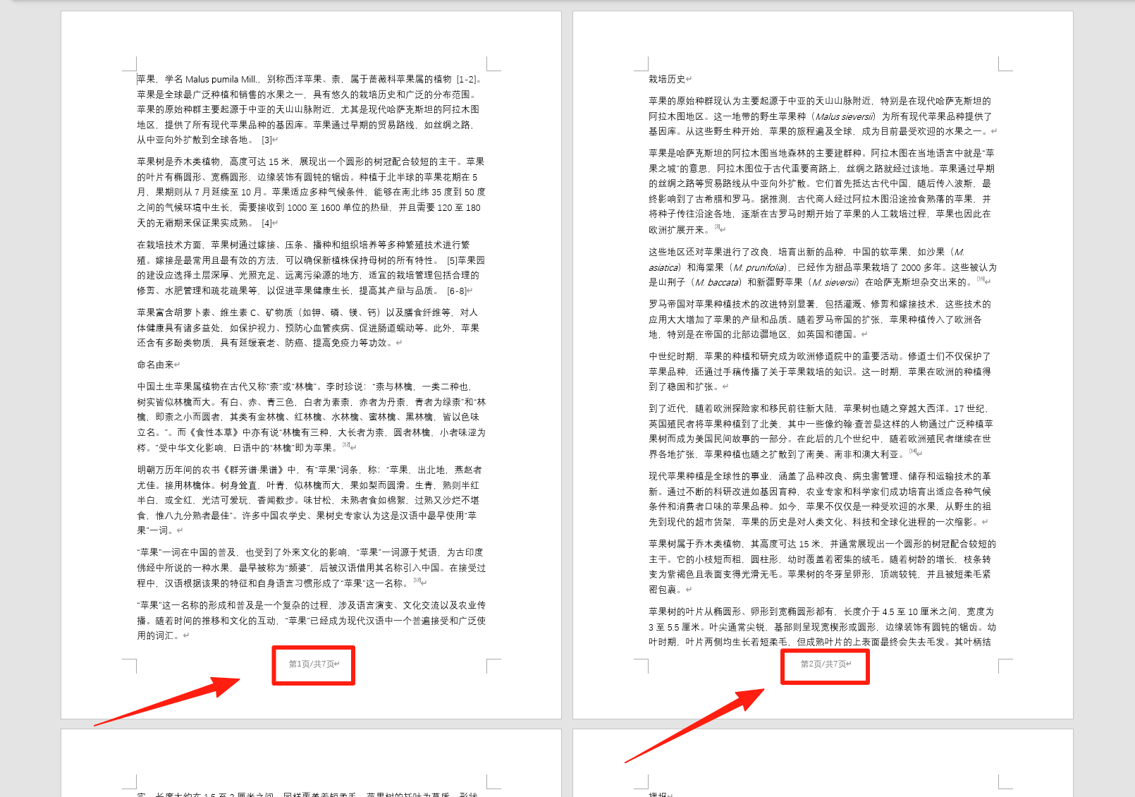 image-Word第幾頁共幾頁怎麼設置,Word添加頁碼,word頁腳設置頁碼