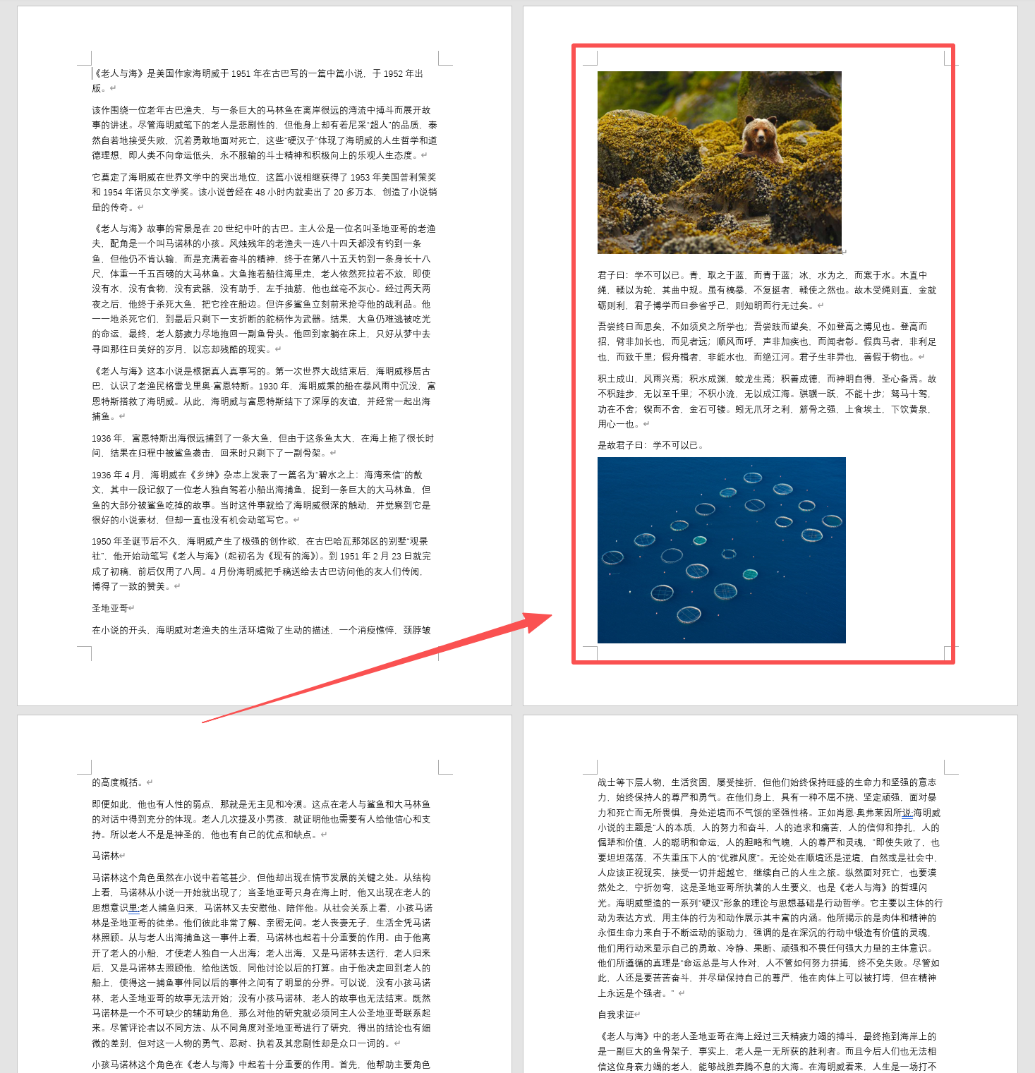 image-word怎么替换一整页,如何替换文档中的一页,word如何替换某页