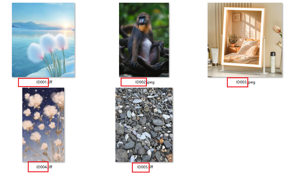 image-Excel表格的图片如何批量导出,如何一次性导出Xlsx中所有图片并重命名,批量保存工作表单元格中图片的办法