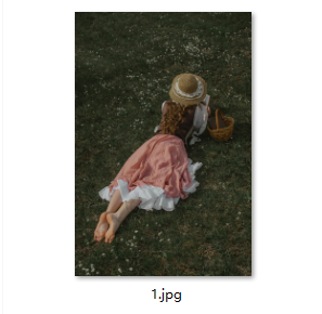 image-图片等分切割,图片切为九宫格,jpg图片分割成多个小图