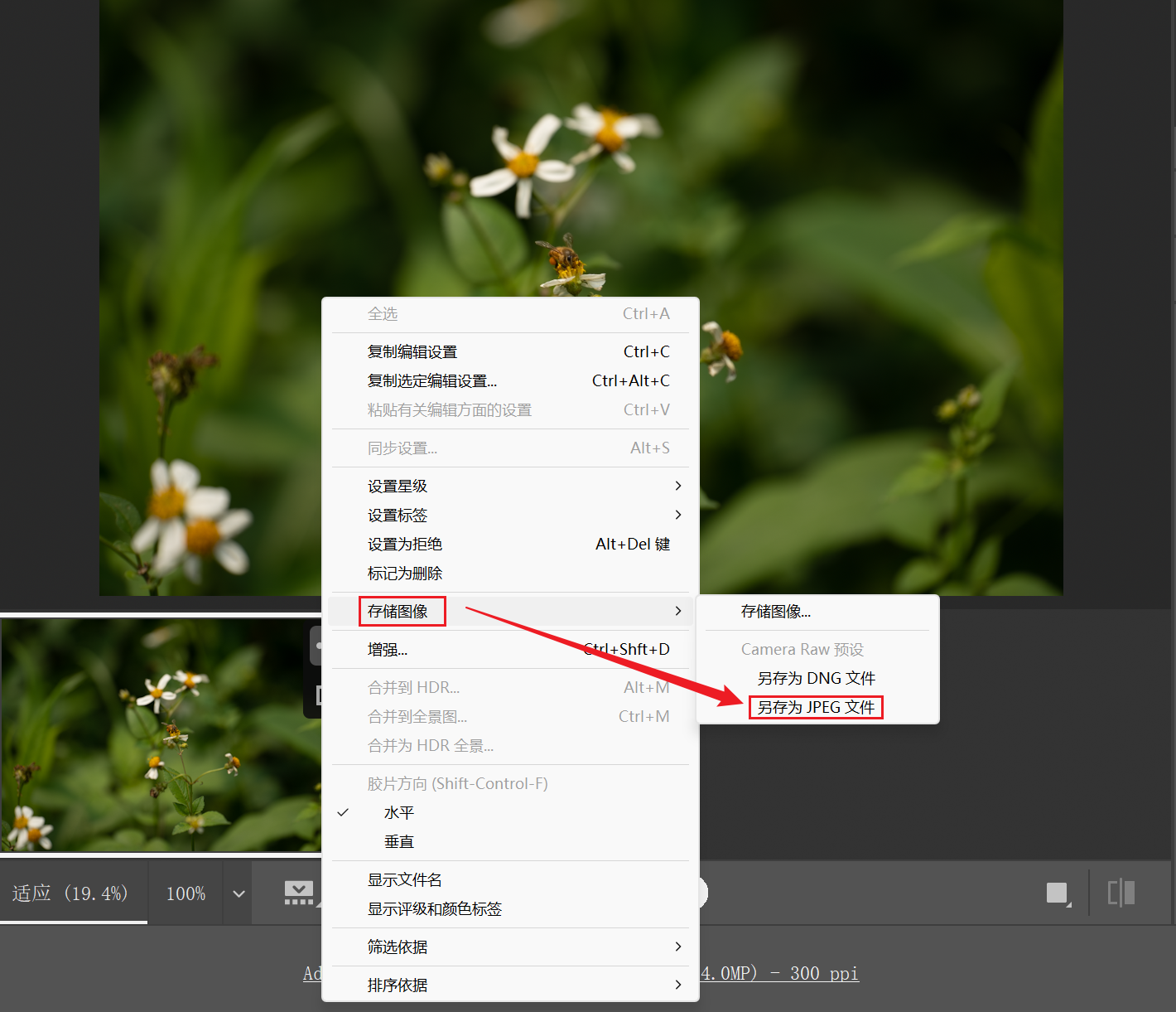 image-raw如何转成jpg,raw图片转换jpg格式,raw转换jpg
