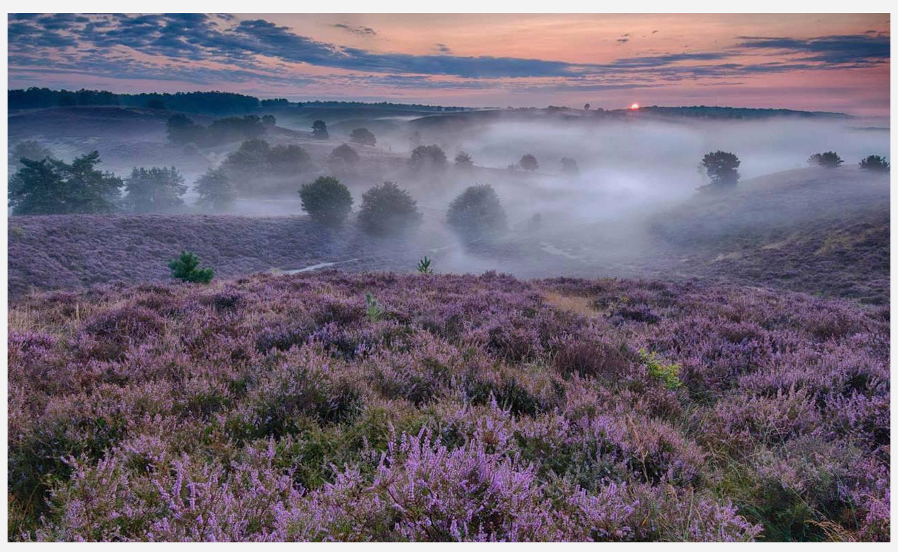 image-圖片加水印,批量給圖片加水印,圖片批量加水印