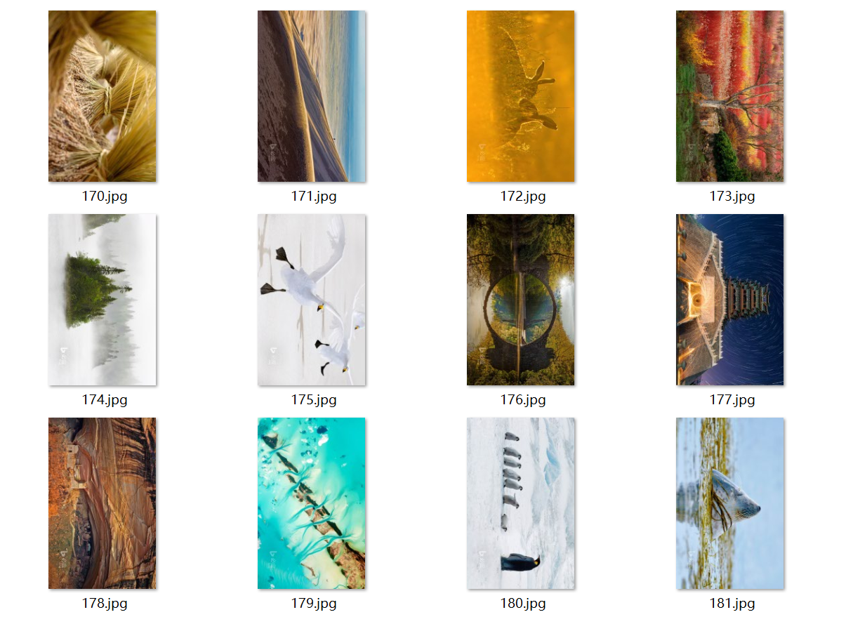 image-批量旋转图片,多张图片统一旋转,图片批量旋转90度