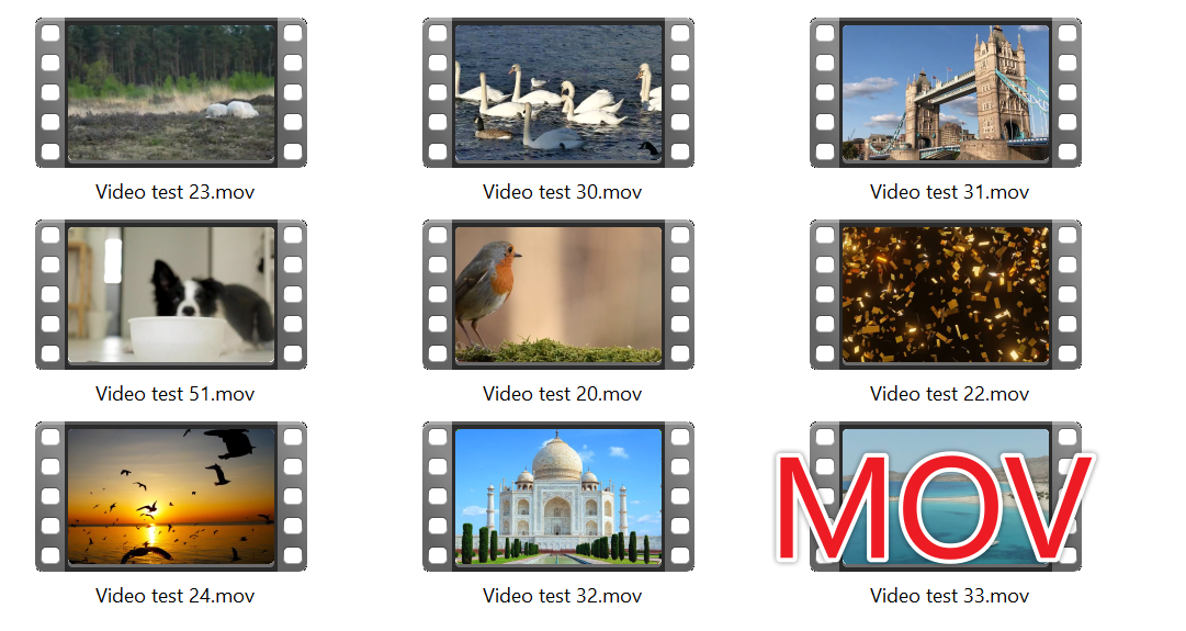 image-视频格式转换器,多个视频格式批量转 MOV,MP4 视频批量转 MOV 格式工具