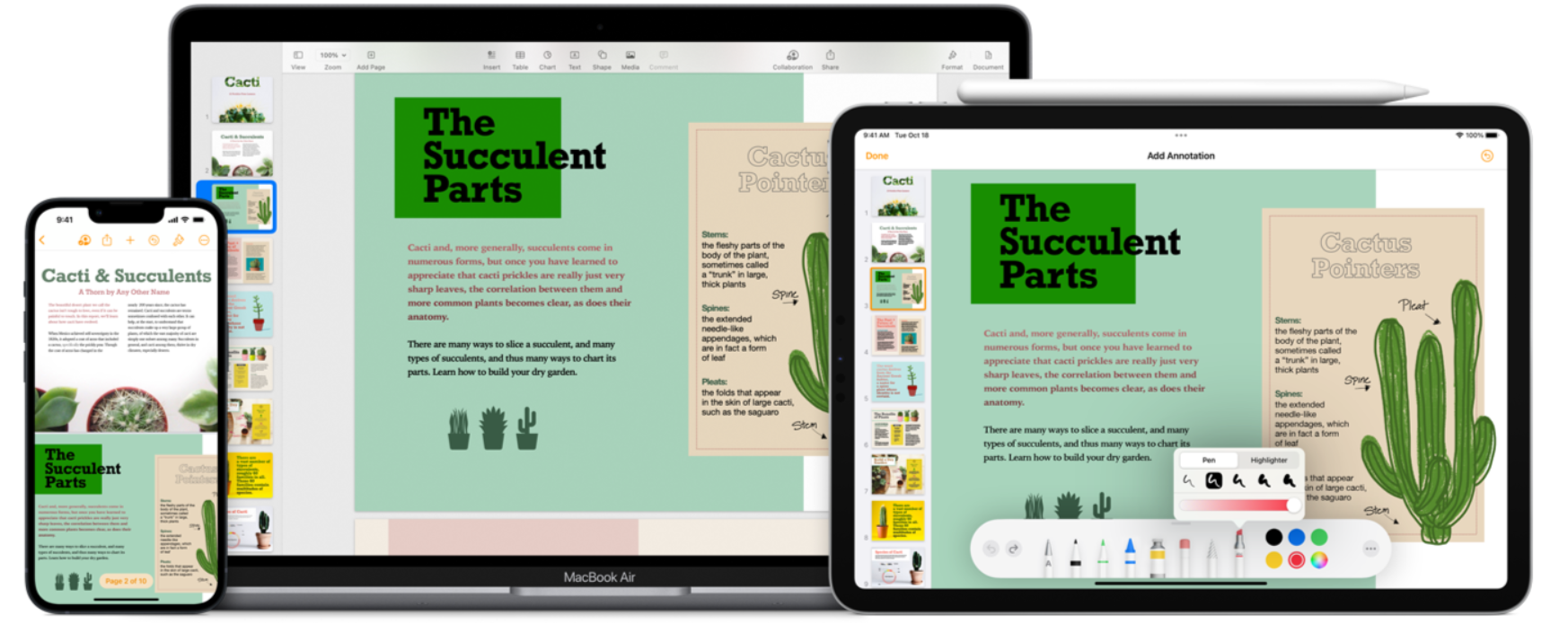 image-刪除Word空白行,刪除Word空行,Word清除空白行