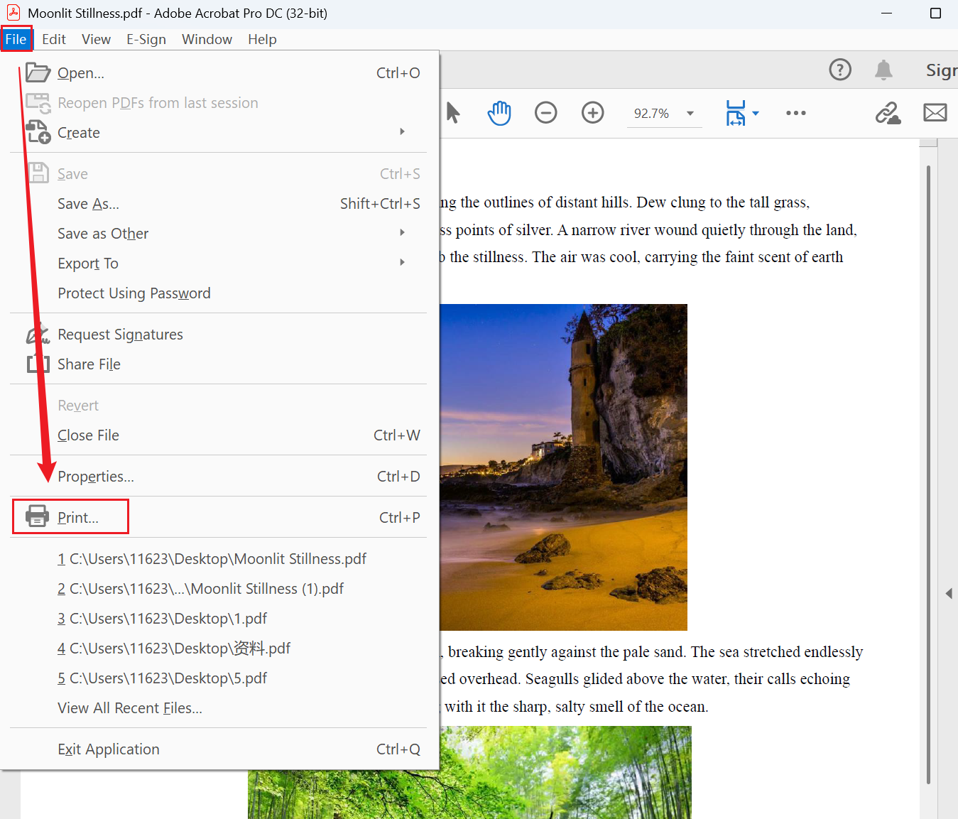 image-修改PDF頁邊距,PDF怎麼設置頁邊距,PDF如何調整頁邊距
