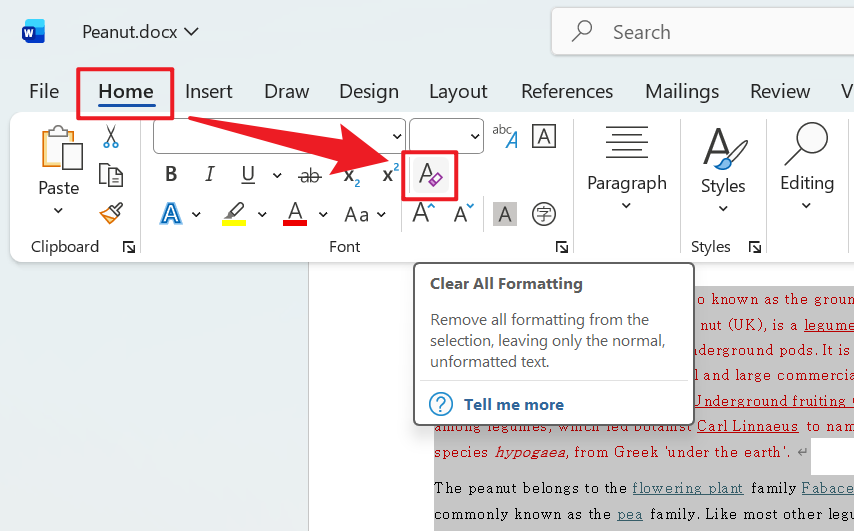 image-Word 格式批量清除,批量删除 Doc,Docx 所有格式,文档格式清理工具