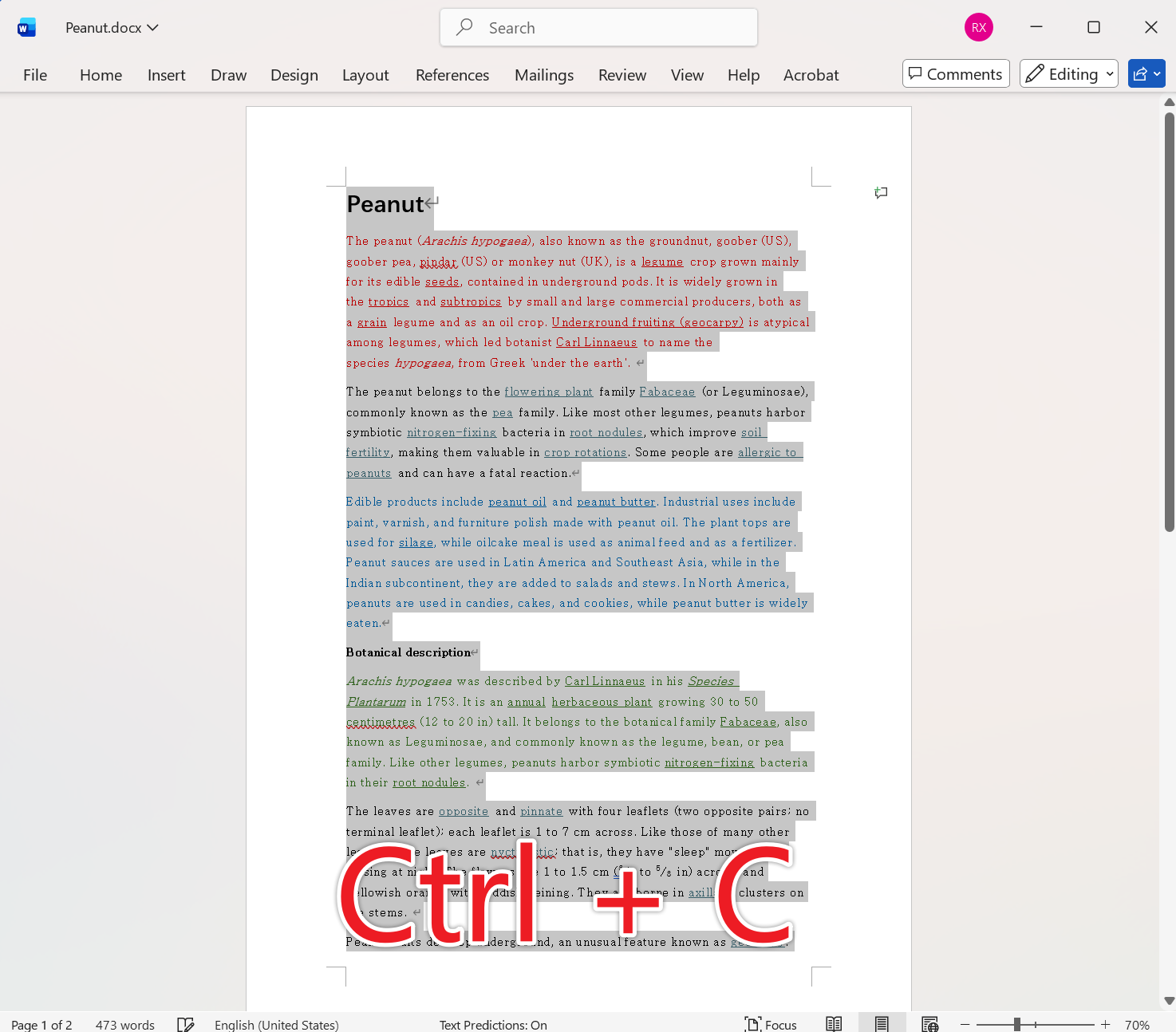 image-Word 格式批量清除,批量删除 Doc,Docx 所有格式,文档格式清理工具