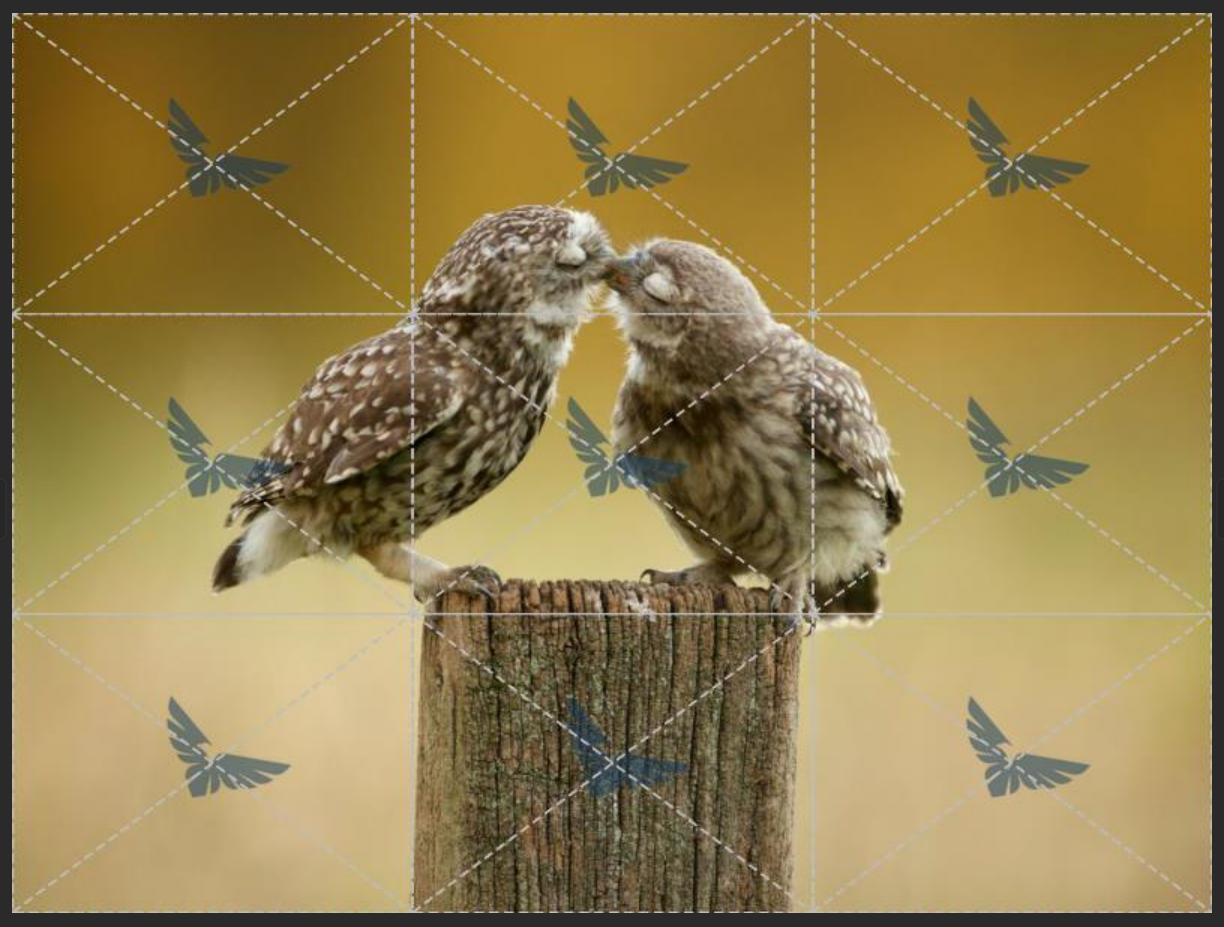 image-图片如何加水印,图片批量加水印,图片加logo水印