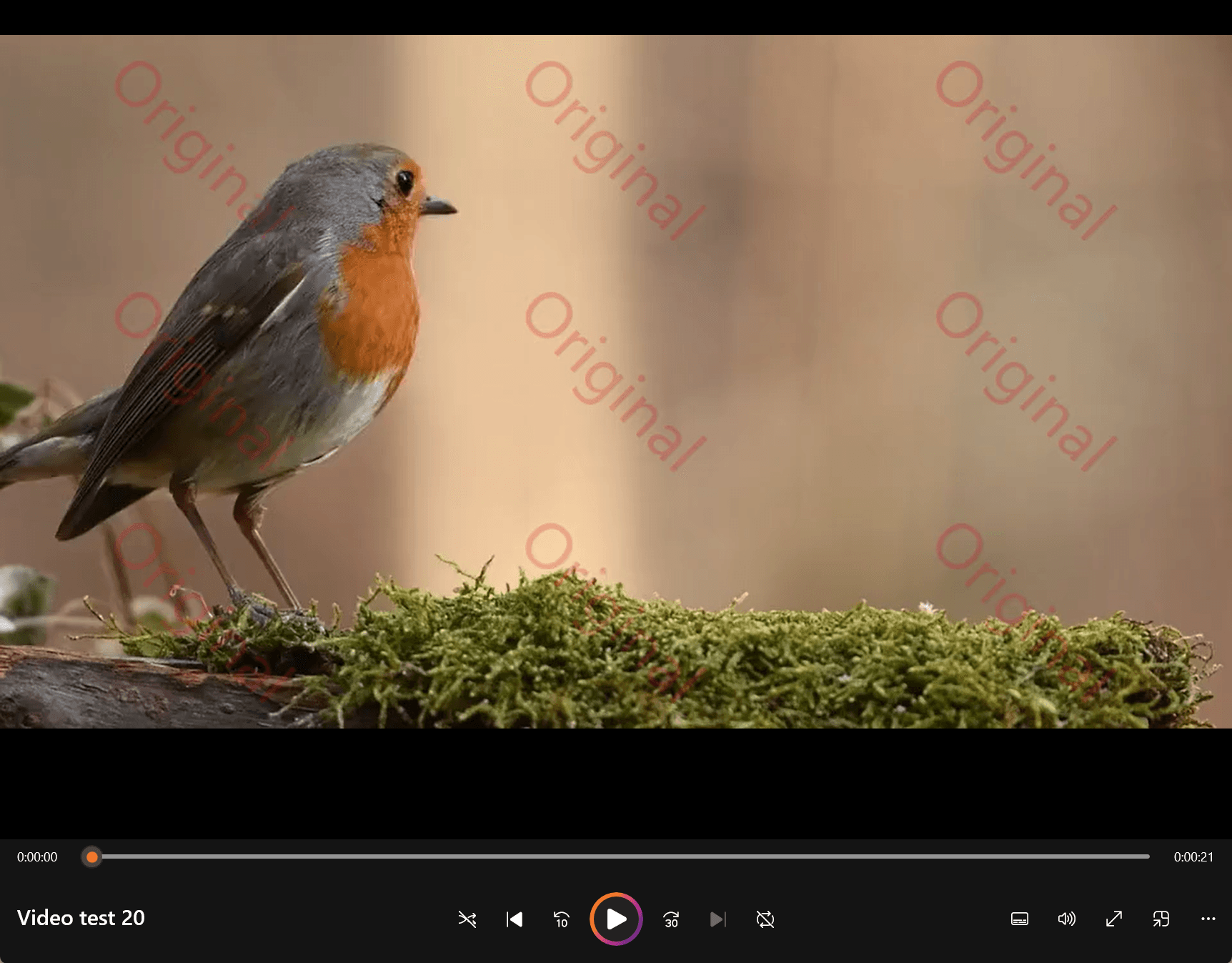 image-视频加水印,视频批量添加水印,给视频铺满水印