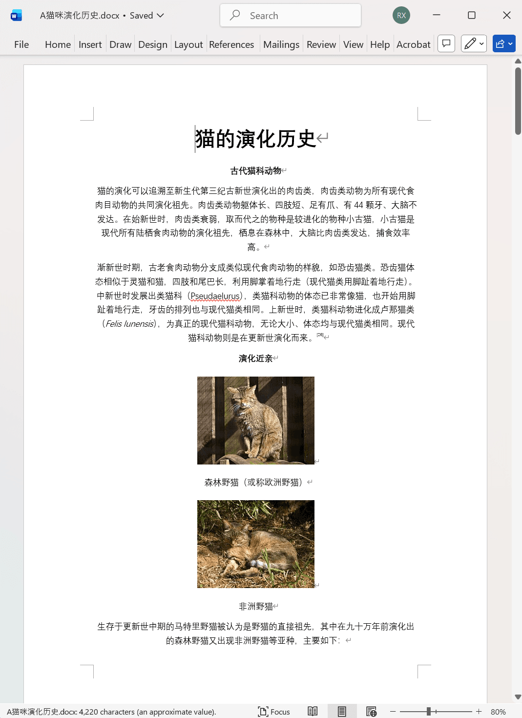 image-Word 文字批量加粗,Word 格式处理工具,Docx 文本加粗