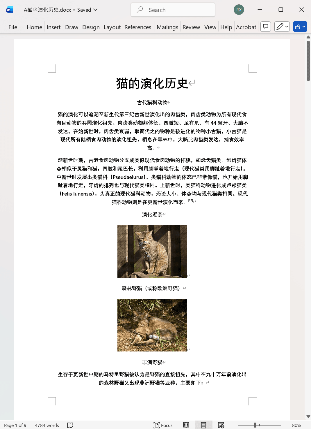 image-Word 文字批量加粗,Word 格式处理工具,Docx 文本加粗
