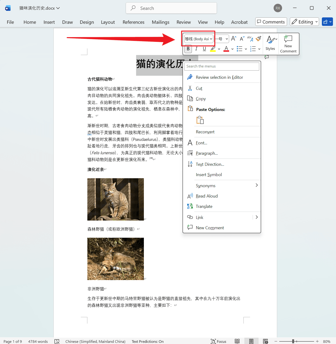 image-Word 批量设置字体,Doc,Docx 字体批量替换,Word 修改字体工具