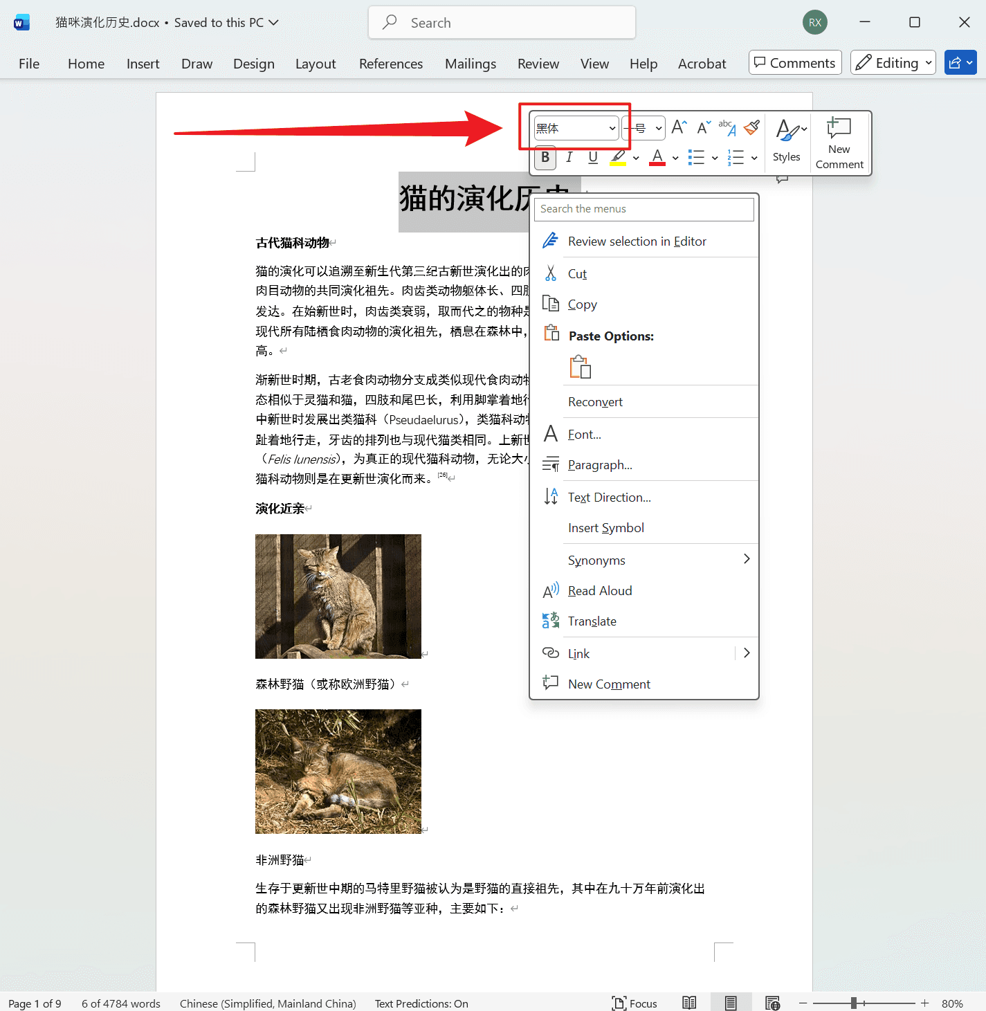 image-Word 批量设置字体,Doc,Docx 字体批量替换,Word 修改字体工具