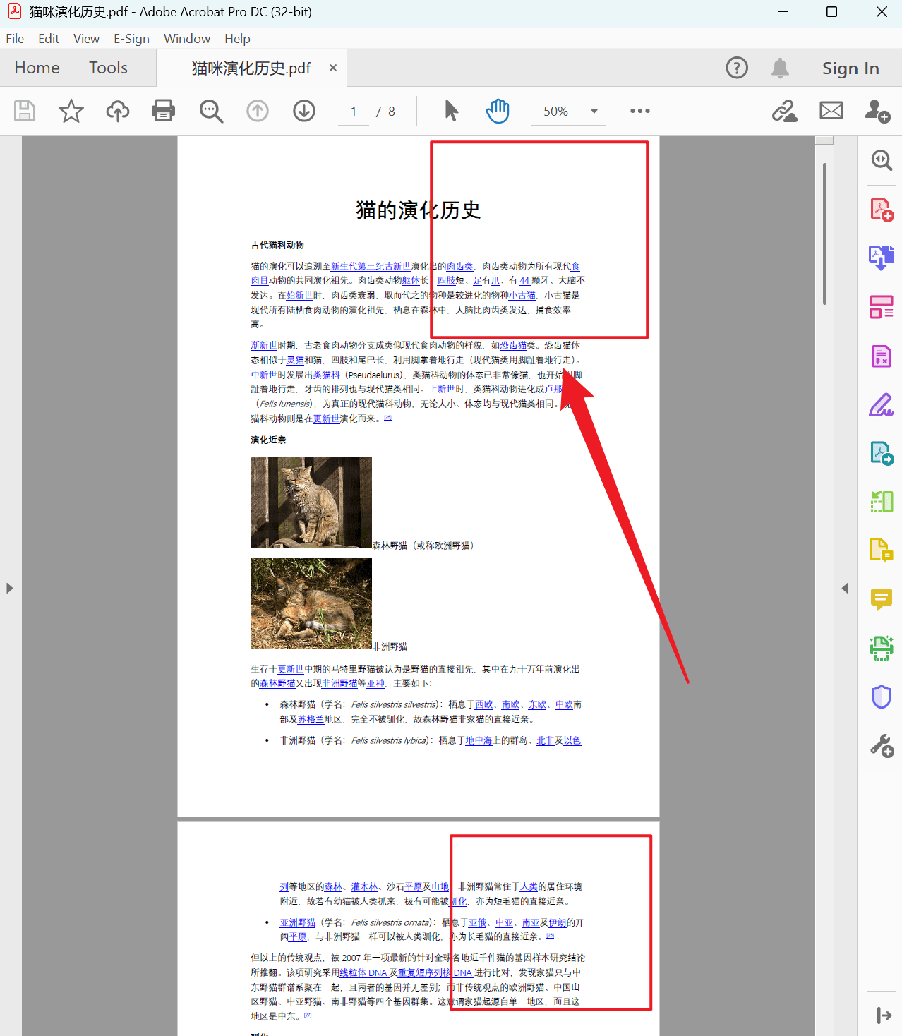 image-PDF 批量添加图章或签名,PDF 每页添加 PNG 印章,PDF 批量盖章工具