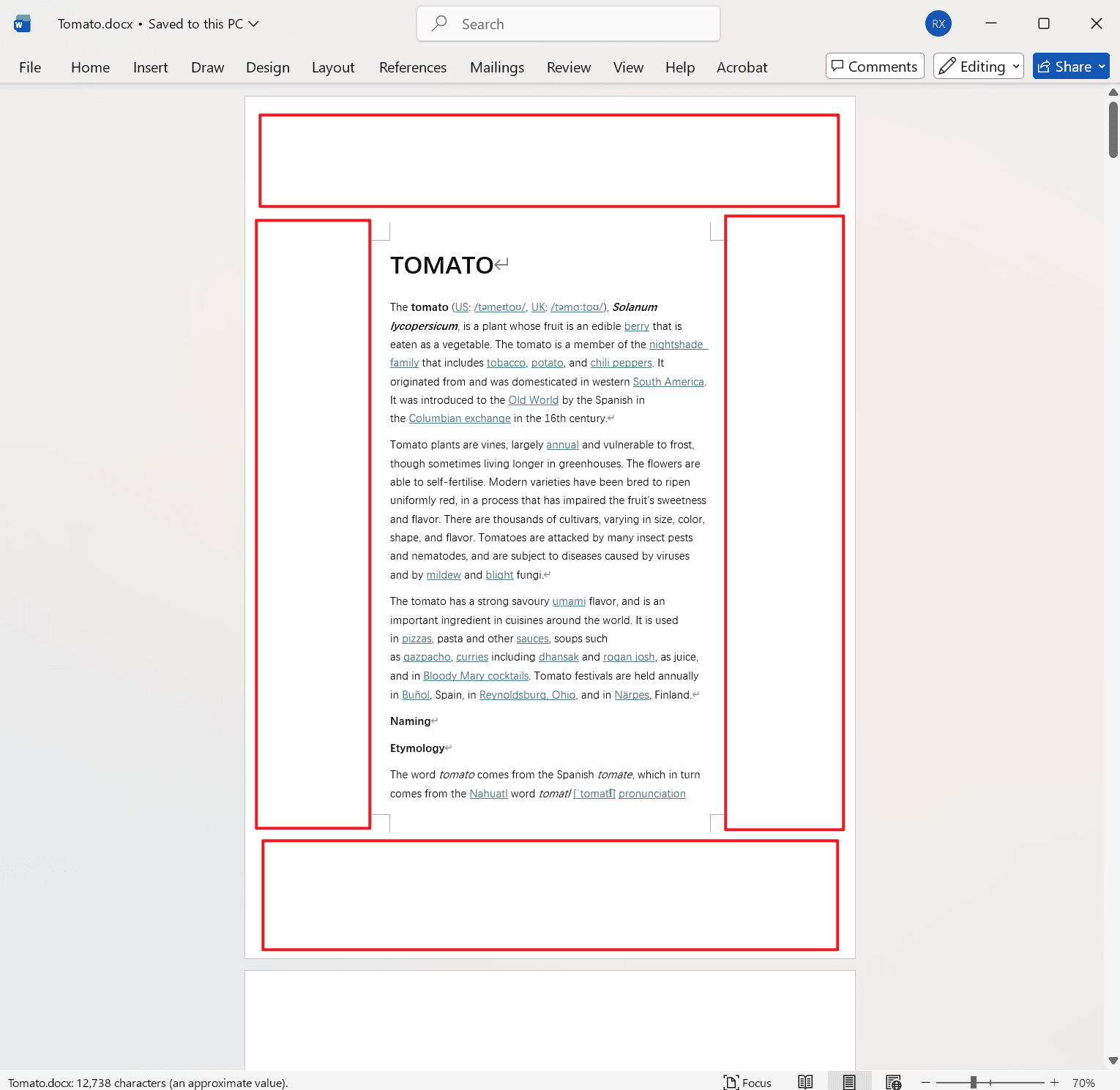 image-Word 批量修改页边距,Doc,Docx 批量设置页面,Word 批量排版工具