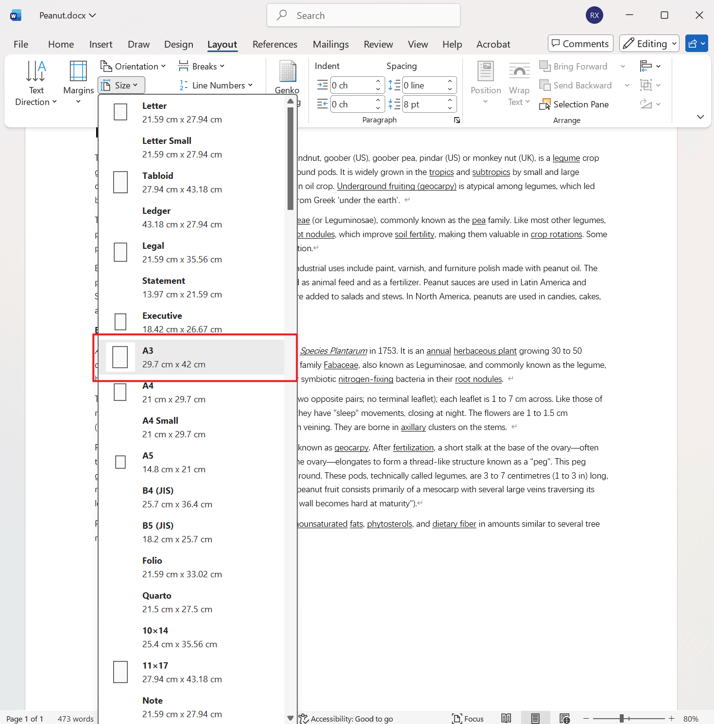 image-Word批量修改纸张大小,Word修改页面布局,docx纸张大小批量设置