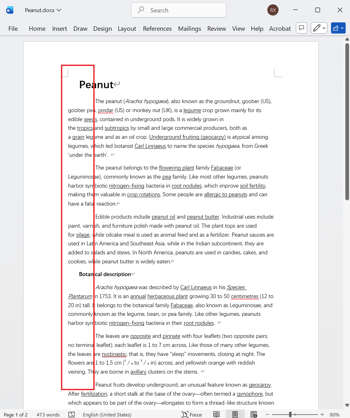 image-批量删除Word段首空格,删除Word每段开头空白,Word去除段前空格,docx批量处理,doc文档清理