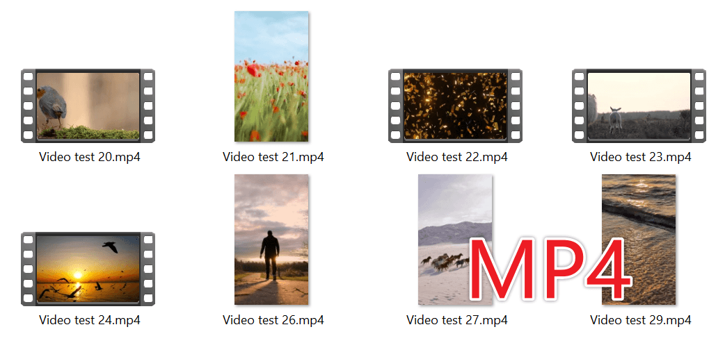 image-MP4转WebM,批量转换WebM,视频转WebM,MP4批量转WebM