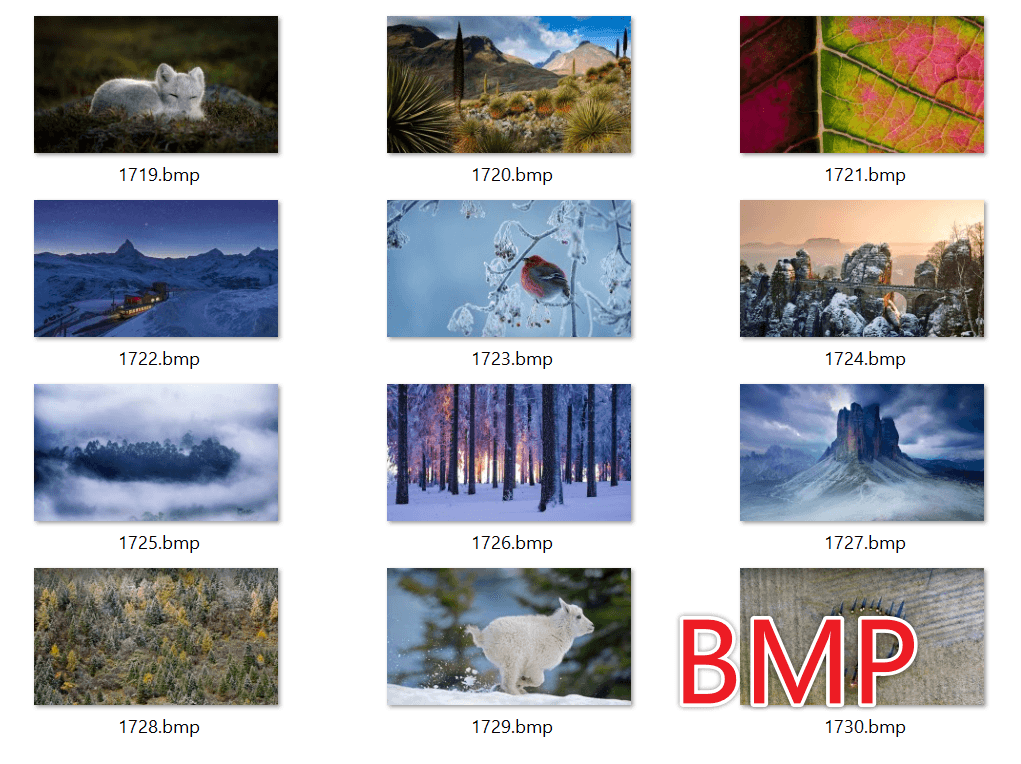 image-图片批量转换为BMP,BMP格式转换,JPG转BMP,PNG转BMP