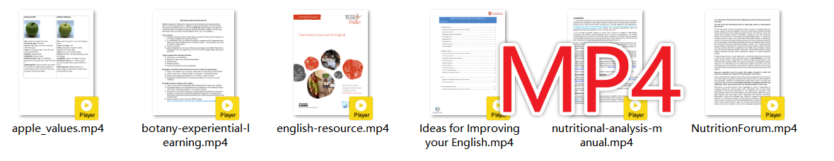 image-Word轉MP4,批量轉換Word文檔,docx轉視頻