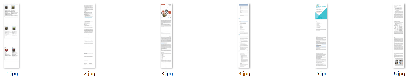 image-Word转JPG长图,批量Word转图片,docx页面拼接成长图